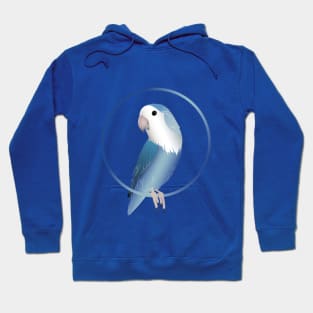 Blue Rosy-faced Lovebird Hoodie